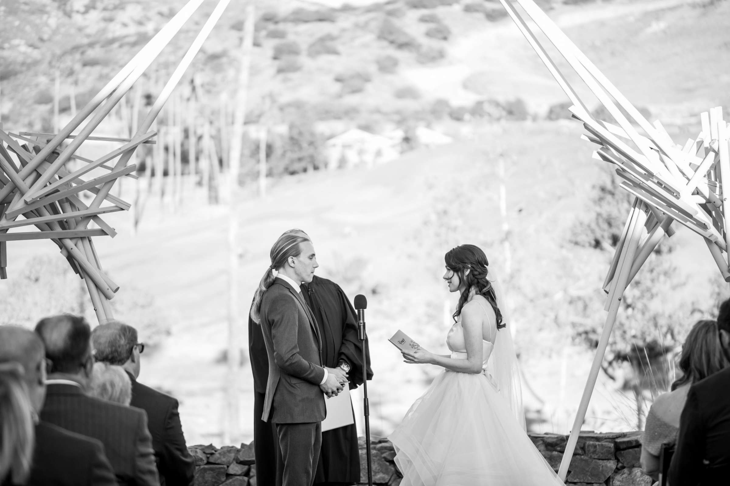 Safari Park Wedding coordinated by Always Flawless Productions, Lynx and Adam Wedding Photo #74 by True Photography